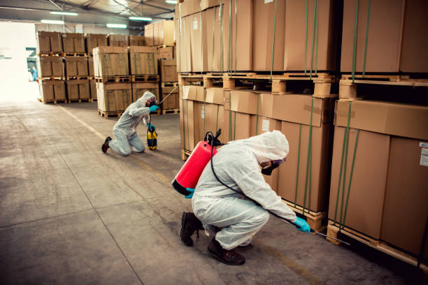 Best Rat Extermination Near Me  in Enterprise, AL