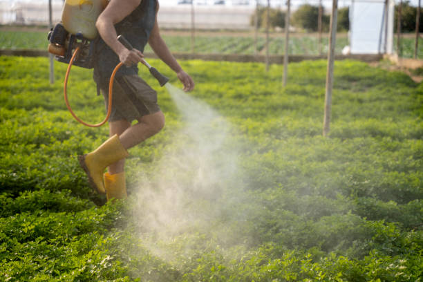 Best Wildlife Control Services  in Enterprise, AL