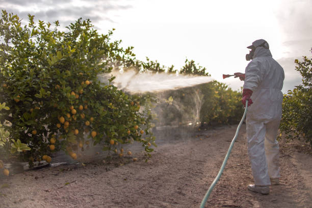Reliable Enterprise, AL Pest Control Solutions