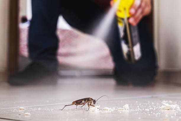 Wildlife Control Services in Enterprise, AL